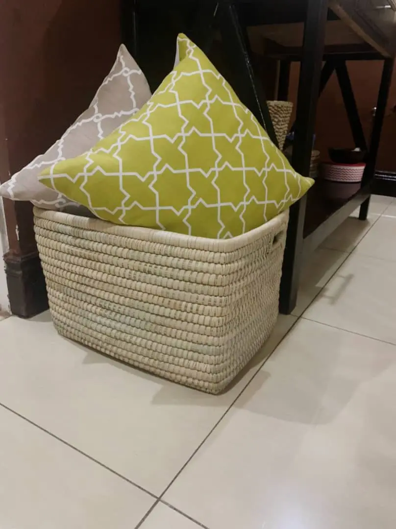 picnic_bags