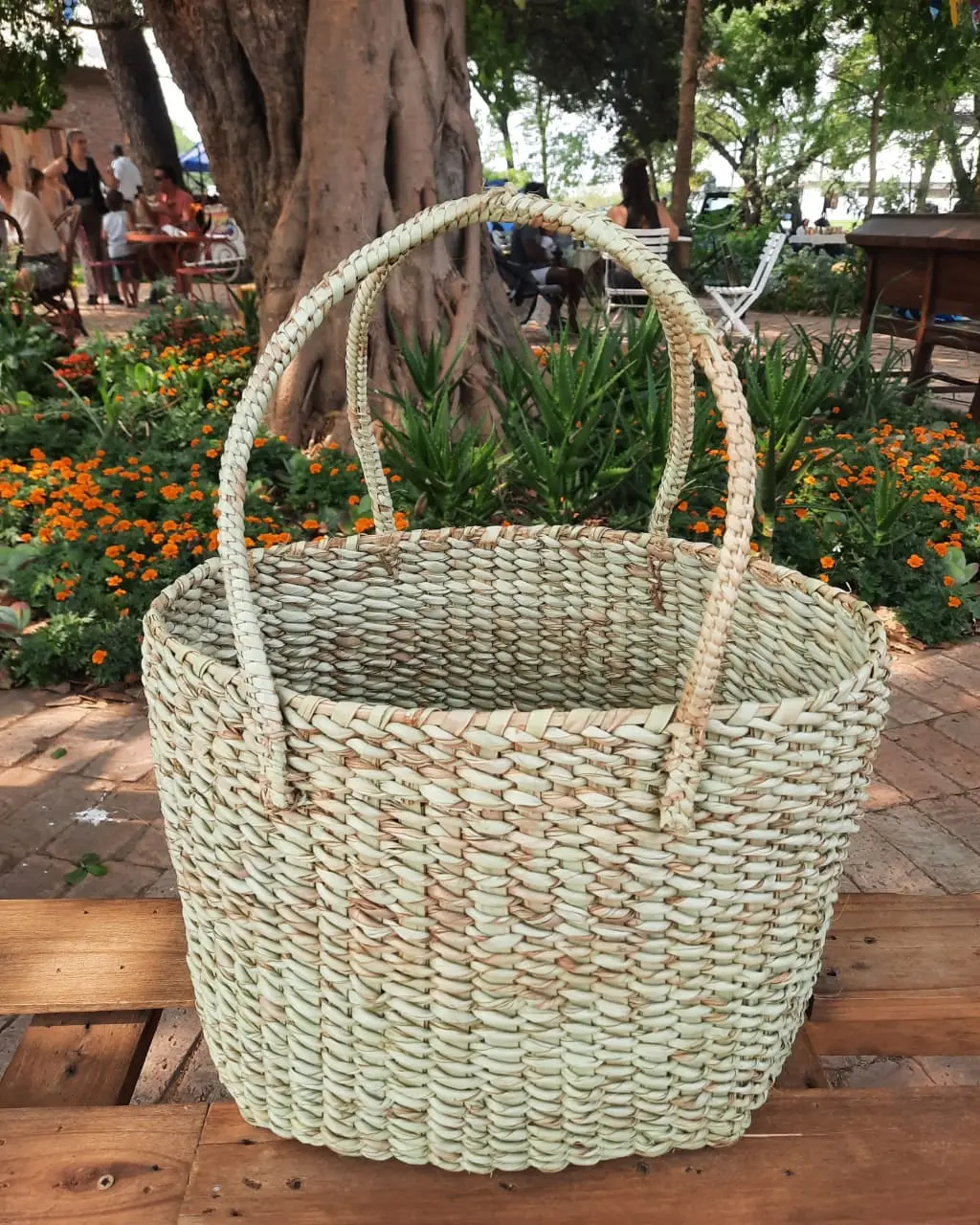 picnic_bags